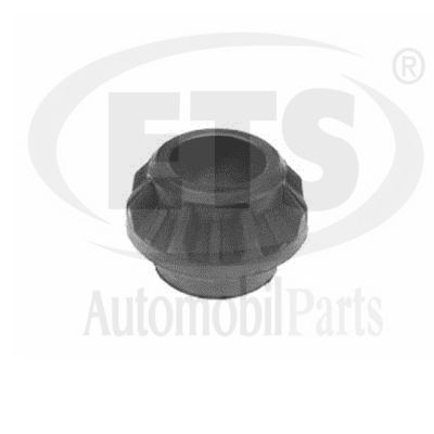 Mounting, engine (31.ST.851)
