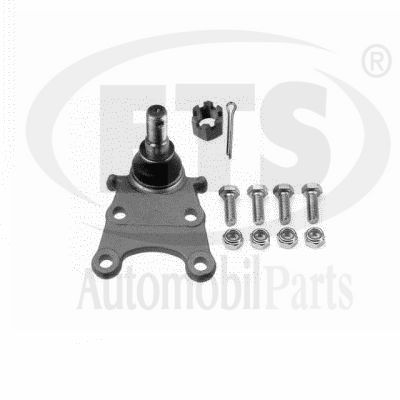Ball Joint (19.BJ.147)