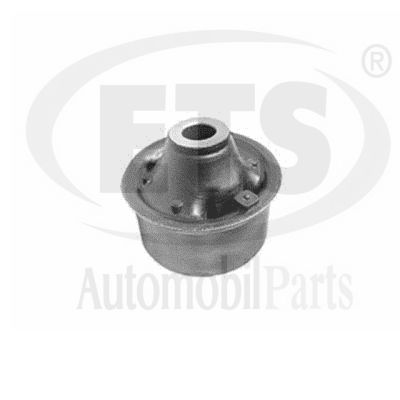 Mounting, control/trailing arm (29.SB.628)