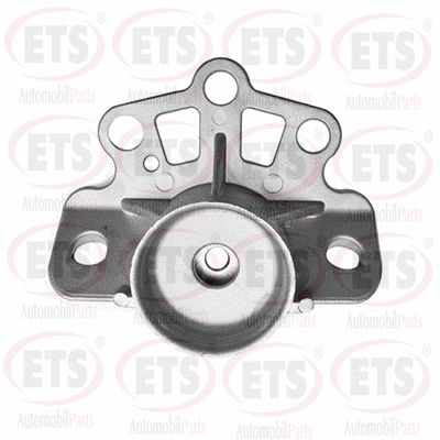 Suspension Strut Support Mount (05.SM.120)