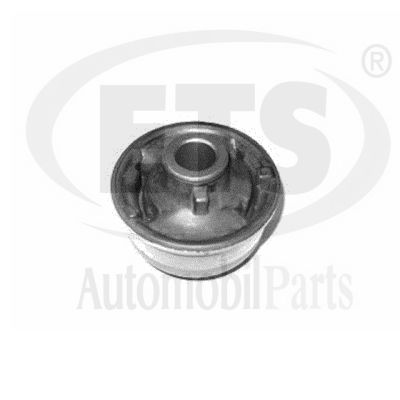 Mounting, control/trailing arm (29.SB.601)