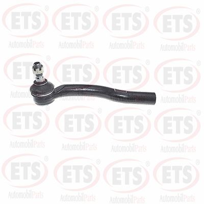 Tie Rod End (29.TR.713)