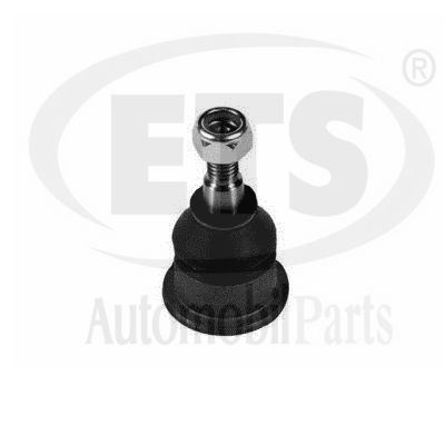 Ball Joint (34.BJ.842)