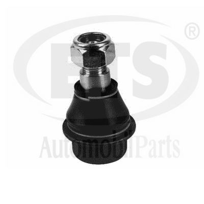 Ball Joint (15.BJ.487)