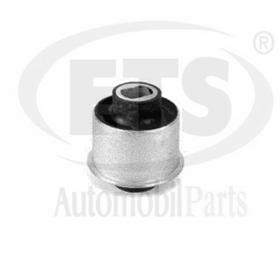 Mounting, control/trailing arm (15.SB.738)