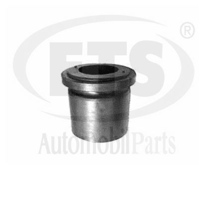 Mounting, engine (18.ST.609)