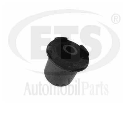 Mounting, control/trailing arm (19.SB.516)