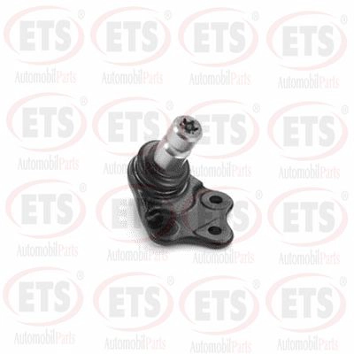 Ball Joint (12.BJ.616)
