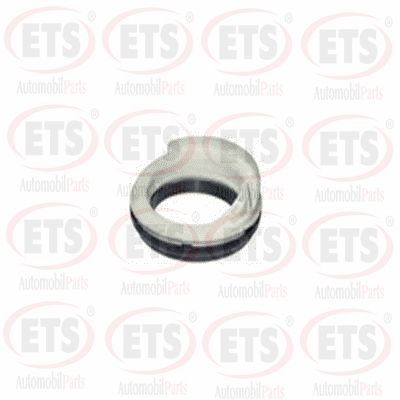 Suspension Strut Support Mount (22.SM.662)