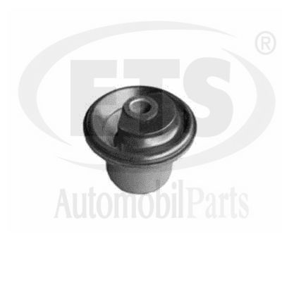 Mounting, control/trailing arm (31.SB.330)
