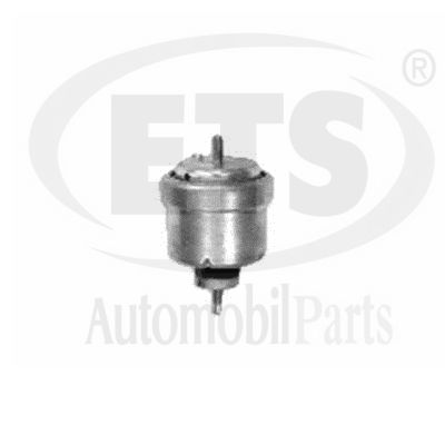 Mounting, engine (19.ST.918)