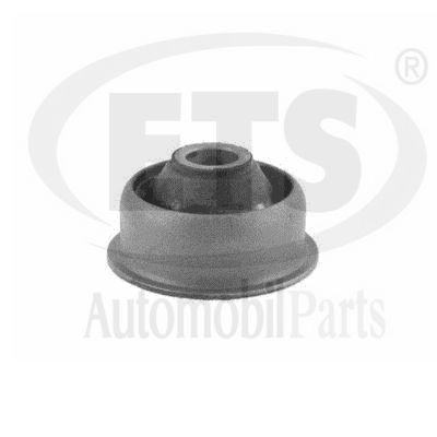 Mounting, control/trailing arm (31.SB.327)