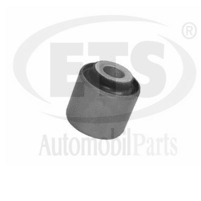 Mounting, control/trailing arm (15.SB.702)