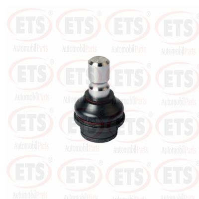 Ball Joint (18.BJ.257)