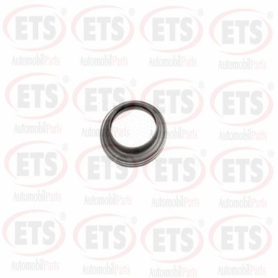 Suspension Strut Support Mount (22.SM.655)