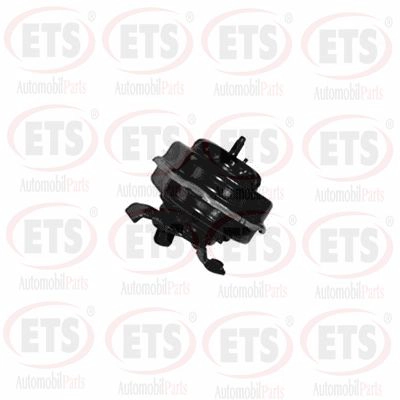 Mounting, engine (31.EM.893)