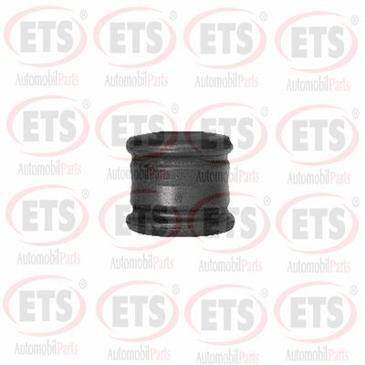 Mounting, control/trailing arm (03.SB.589)