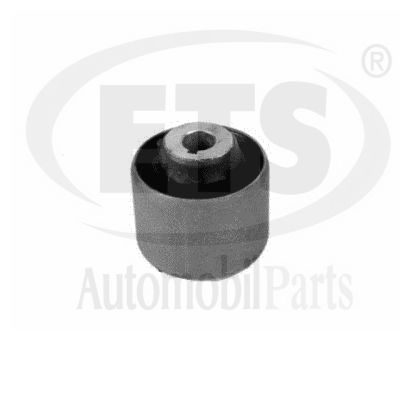 Mounting, control/trailing arm (31.SB.310)