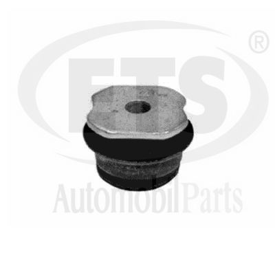 Mounting, control/trailing arm (05.SB.720)