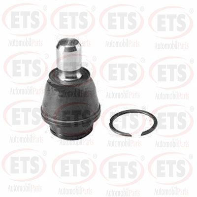 Ball Joint (18.BJ.239)