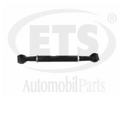 Tie Rod (12.DL.106)