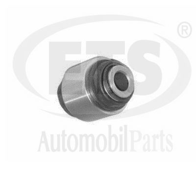 Mounting, control/trailing arm (08.SB.439)
