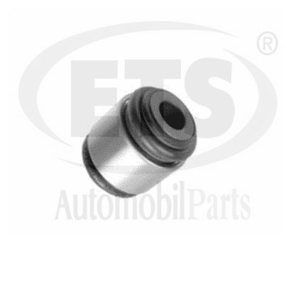 Mounting, control/trailing arm (34.SB.201)