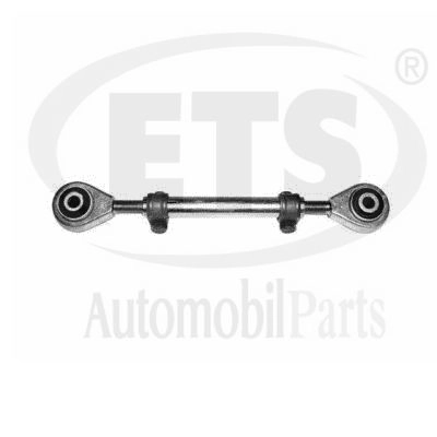 Rod/Strut, wheel suspension (01.DL.500)