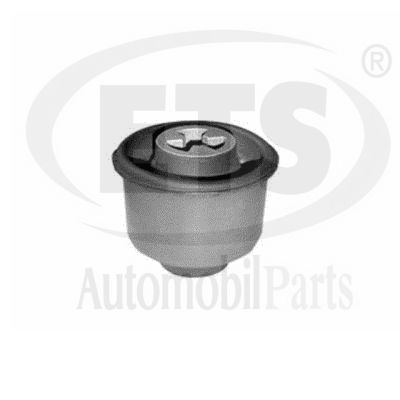 Mounting, control/trailing arm (31.SB.326)