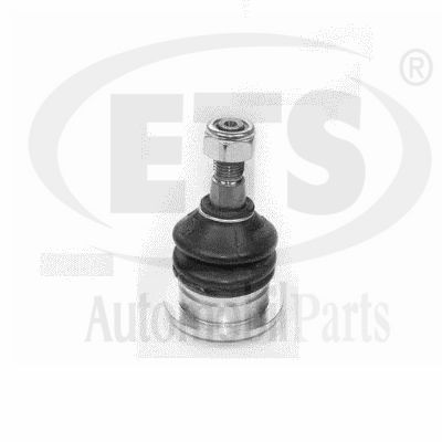 Ball Joint (29.BJ.262)