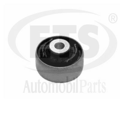 Mounting, control/trailing arm (19.SB.500)
