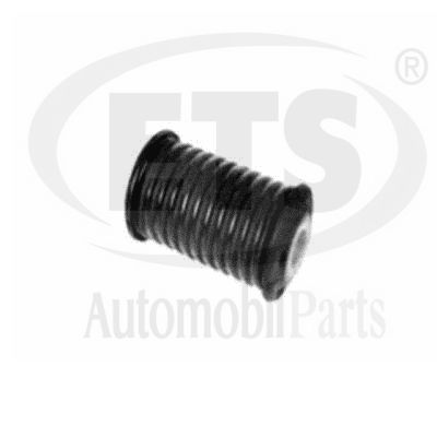 Mounting, control/trailing arm (22.SB.097)