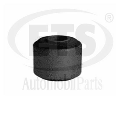 Mounting, control/trailing arm (22.SB.063)