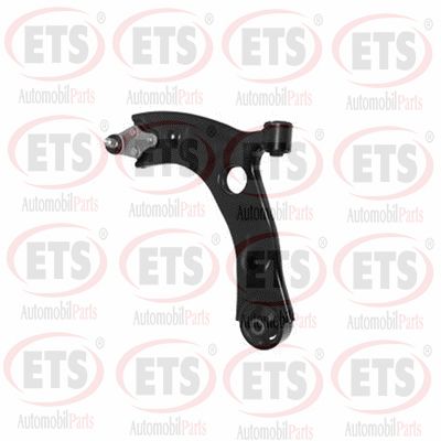 Control/Trailing Arm, wheel suspension (09.TC.684)