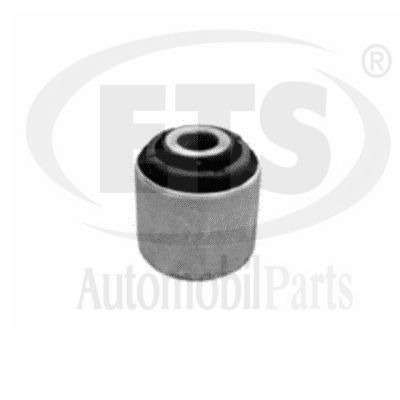 Mounting, control/trailing arm (12.SB.820)
