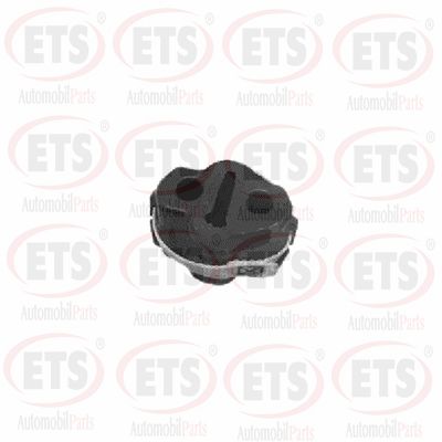 Bracket, muffler (22.ES.566)