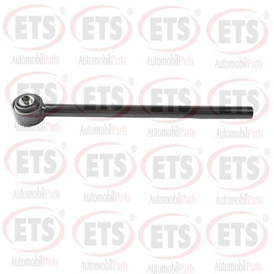 Rod/Strut, wheel suspension (12.DL.113)