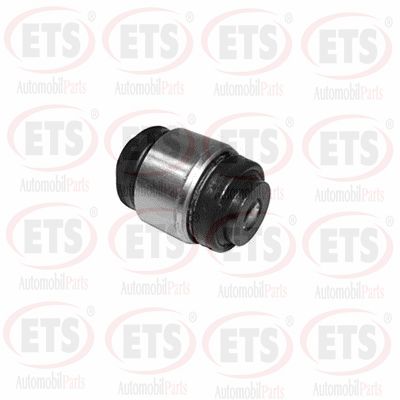 Mounting, control/trailing arm (12.SB.698)
