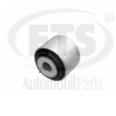 Mounting, control/trailing arm (31.SB.104)