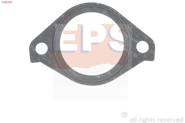 Seal, thermostat (1.890.581)