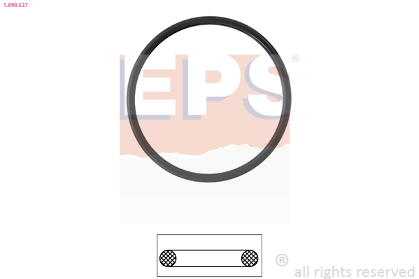 Seal, thermostat (1.890.527)
