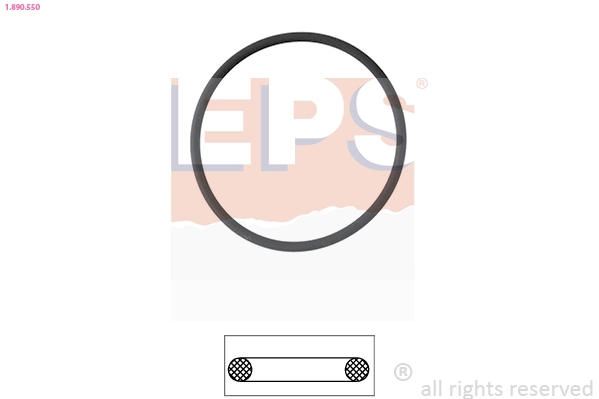 Seal, thermostat (1.890.550)