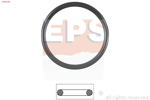 Seal, thermostat (1.890.590)