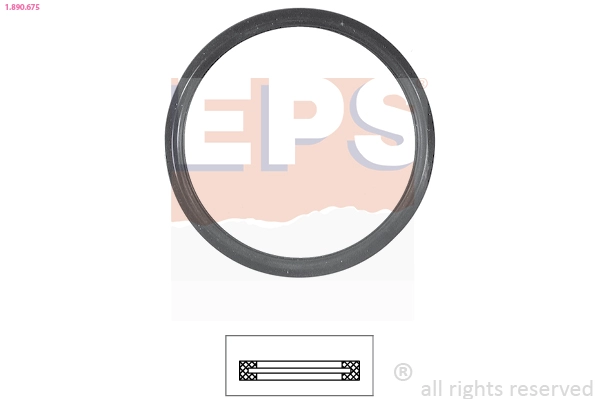 Seal, thermostat (1.890.675)
