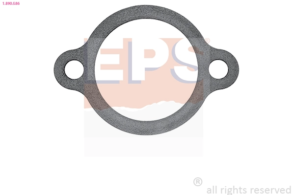 Seal, thermostat (1.890.586)
