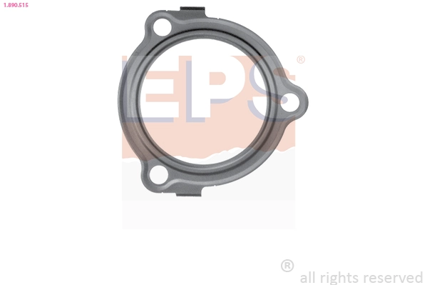 Seal, thermostat (1.890.515)