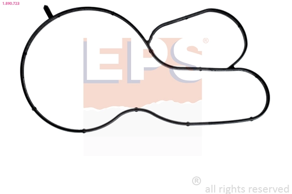 Seal, thermostat (1.890.723)