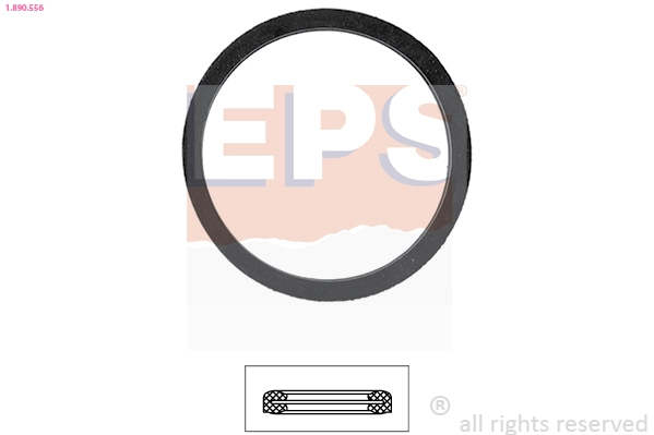 Seal, thermostat (1.890.556)