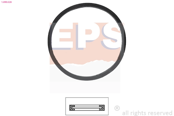 Seal, thermostat (1.890.528)