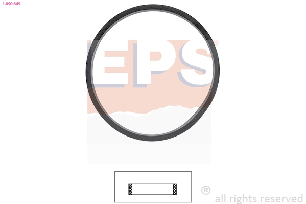 Seal, thermostat (1.890.649)